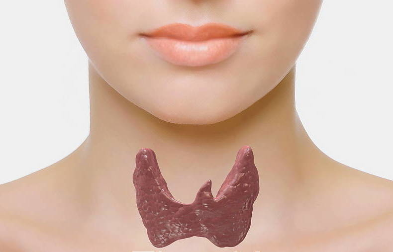 Nutritional Therapy approach to thyroid problems
